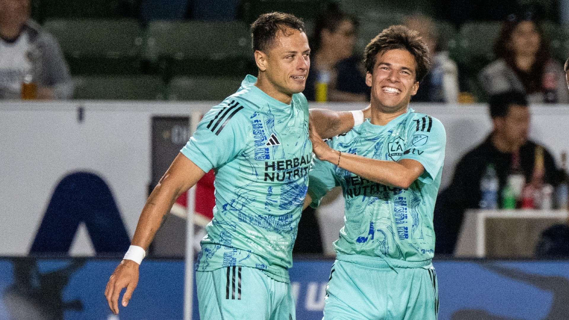 新的变化 新的变化