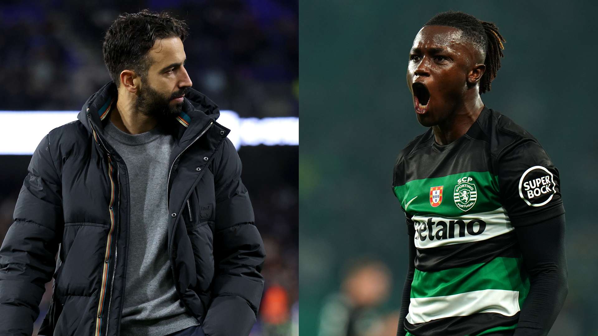 荷兰主帅科 荷兰主帅科