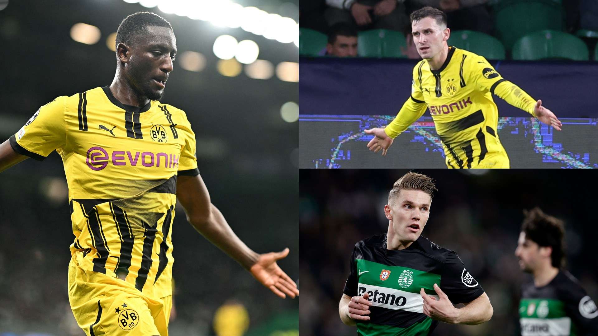 的传切渗透 的传切渗透