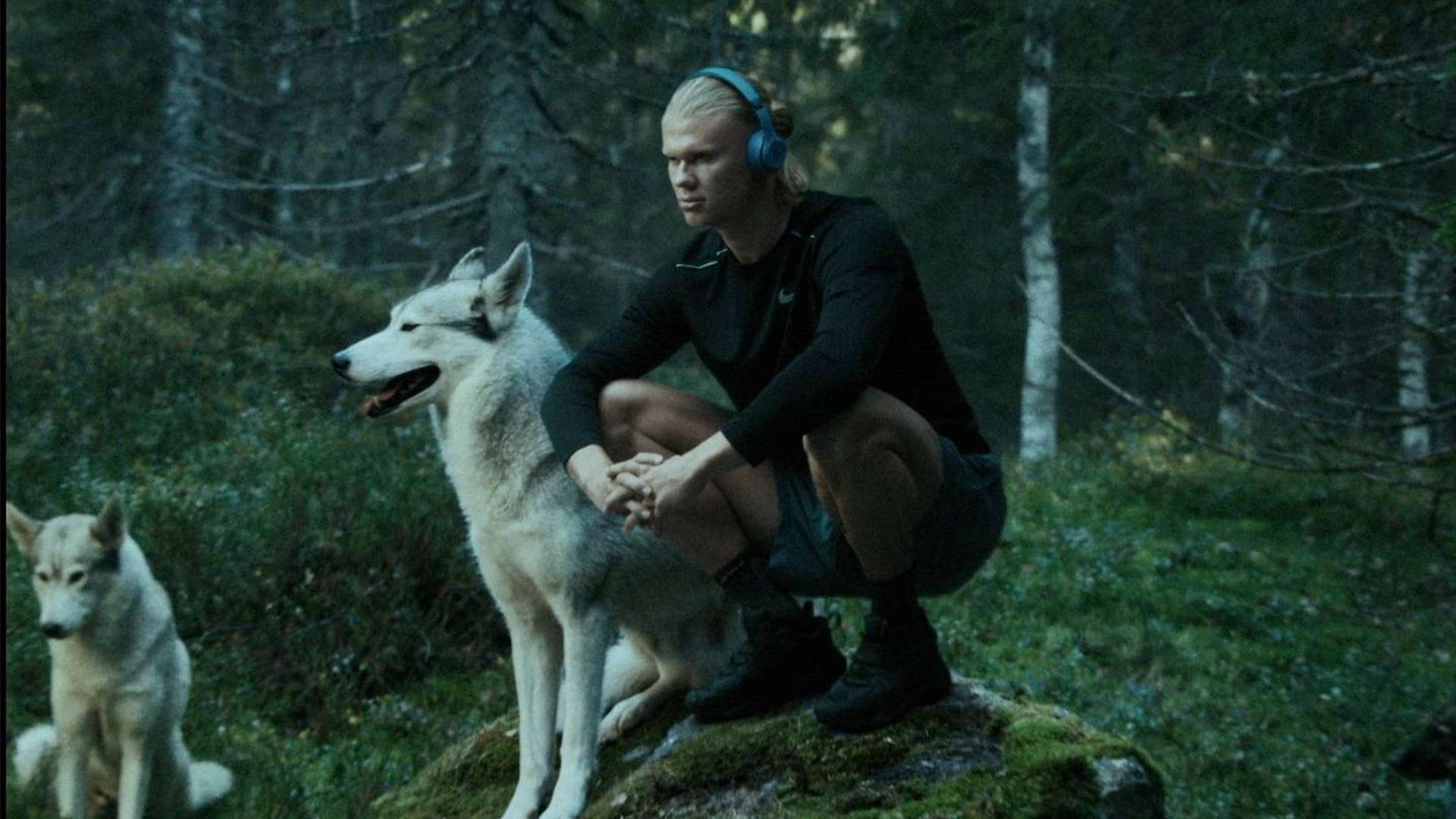 列兹曼等核 列兹曼等核